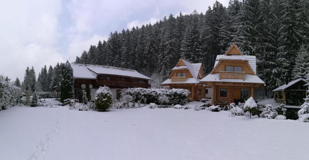 Chalets Adriana ديمانوفْشكا دولِنا المظهر الخارجي الصورة